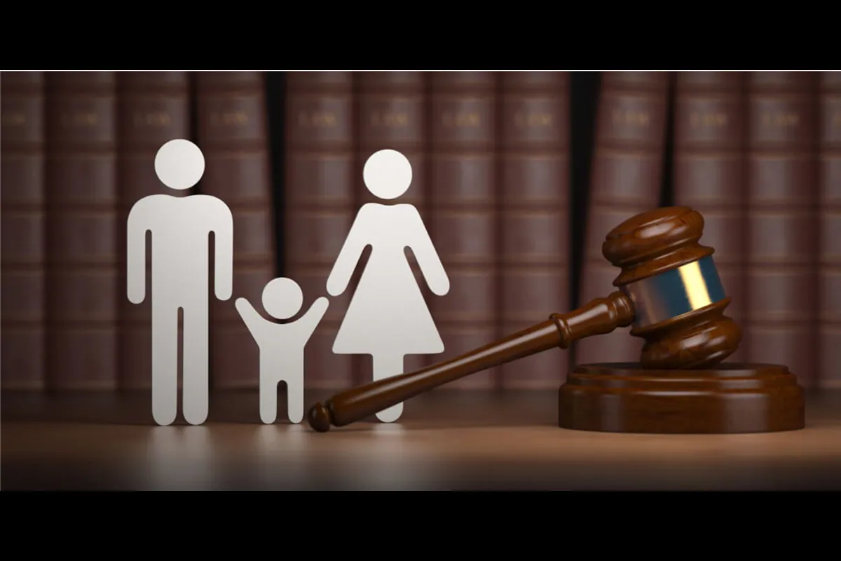 The Importance of Hiring a Professional Family Law Attorney