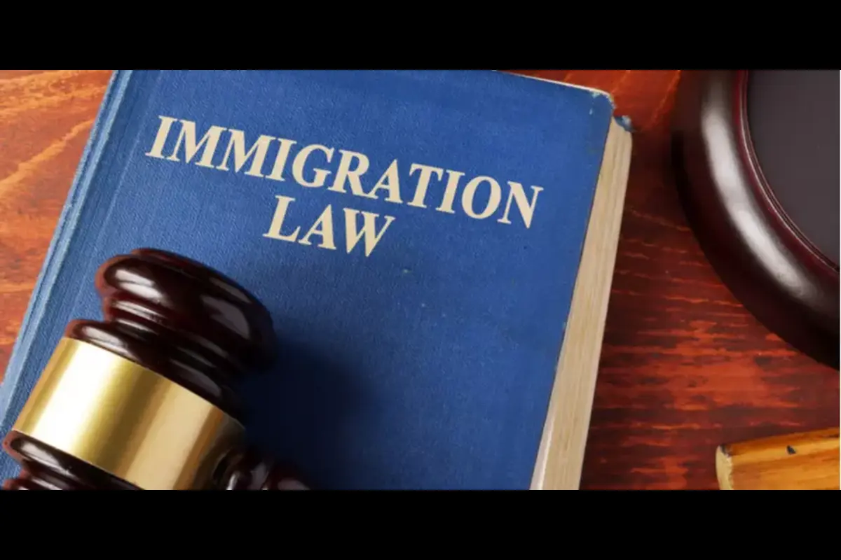 Comprehensive Guide to Immigration Law: Expert Insights and Key Considerations
